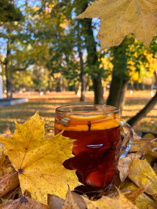 rozgrzewajaca herbata - Jesienny spacer w solankowym klimacie